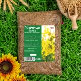 Сидераты